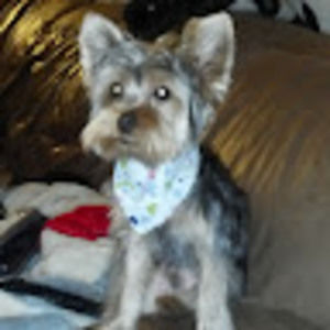 Meet your Posher, Billy